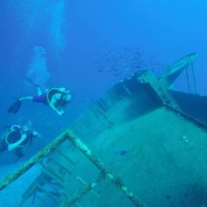 Meet your Posher, Phil